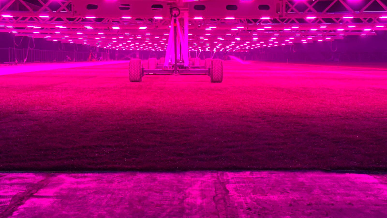 نادي الهلال السعودي المملكة ارينا