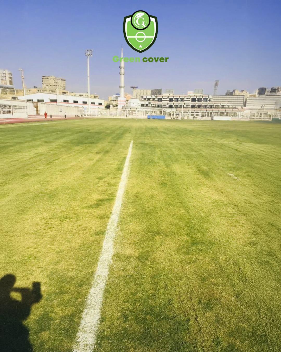 استاد حلمي زامورا نادى الزمالك