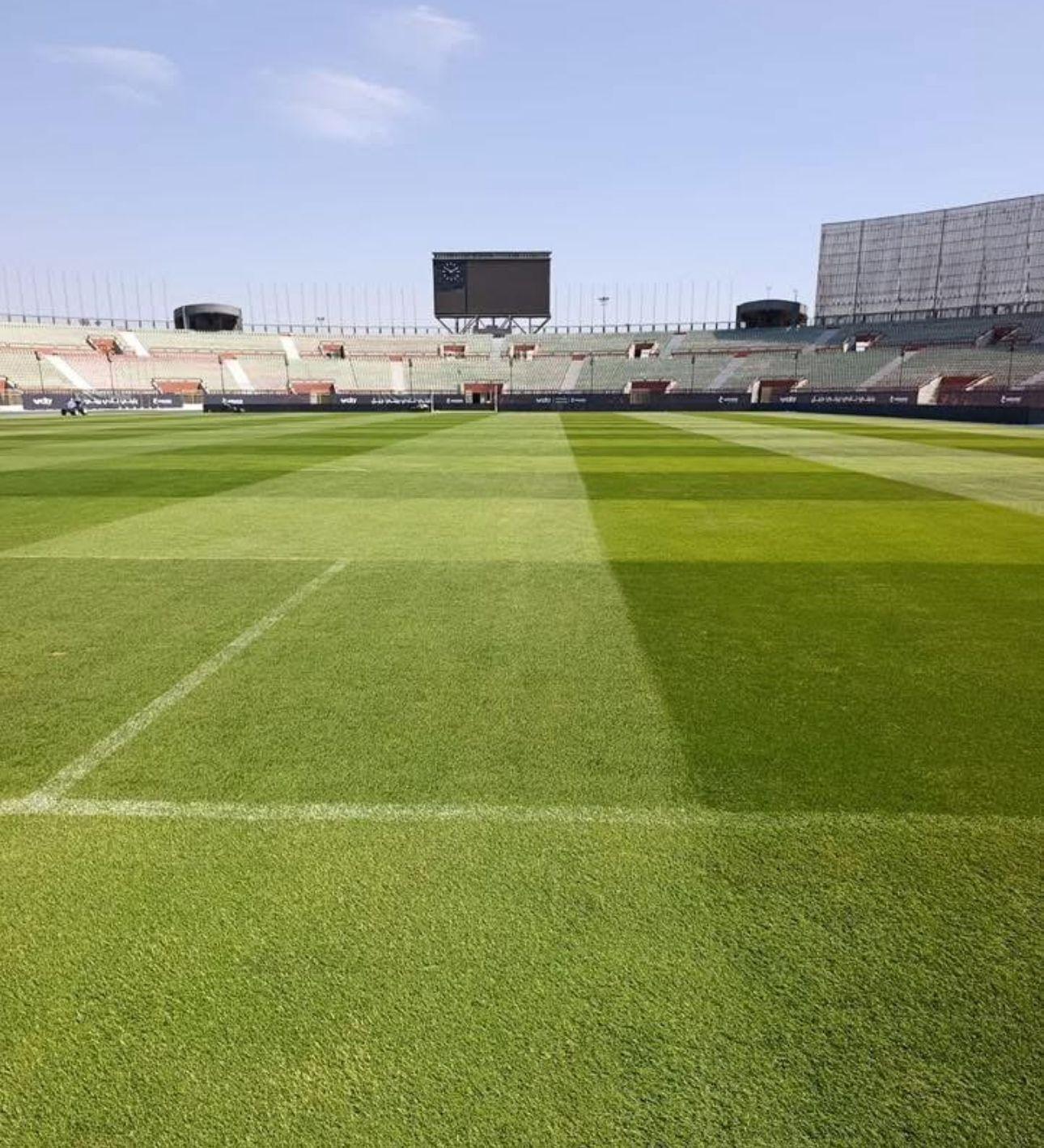 استاد السلام الدولى