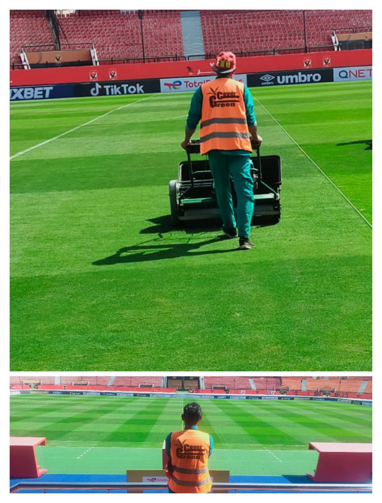 استاد السلام الدولى